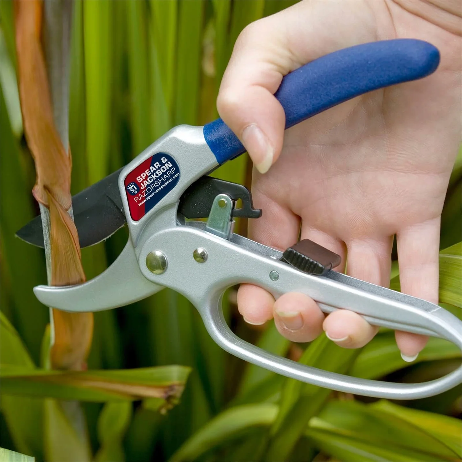Spear & Jackson Razorsharp Secateurs With Loop Handle - Image 2